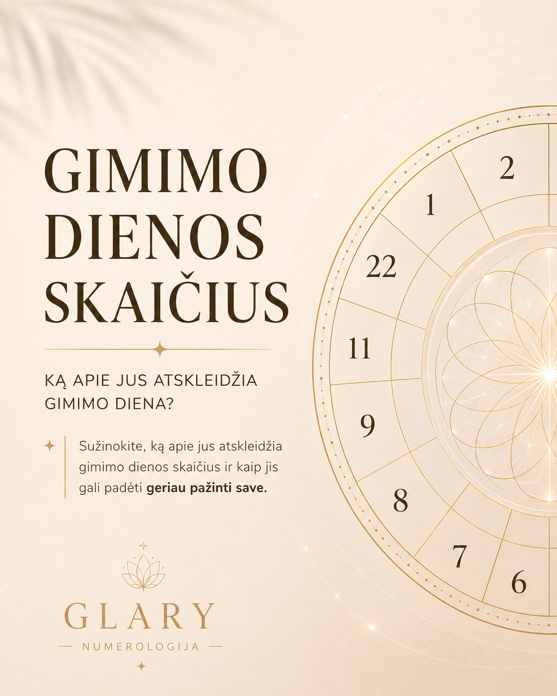Gimimo dienos skaičius numerologijoje